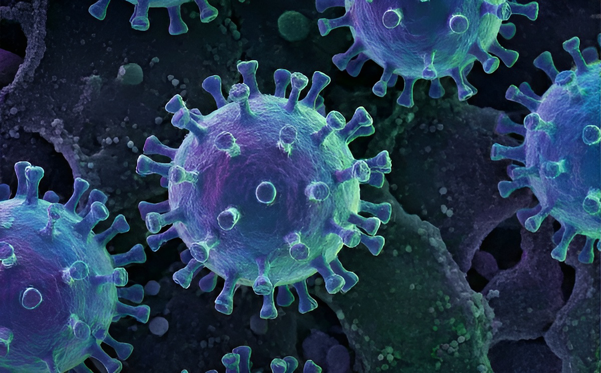 Virus Microscopic View